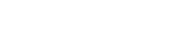 Elecsis Strategic Digital Agency