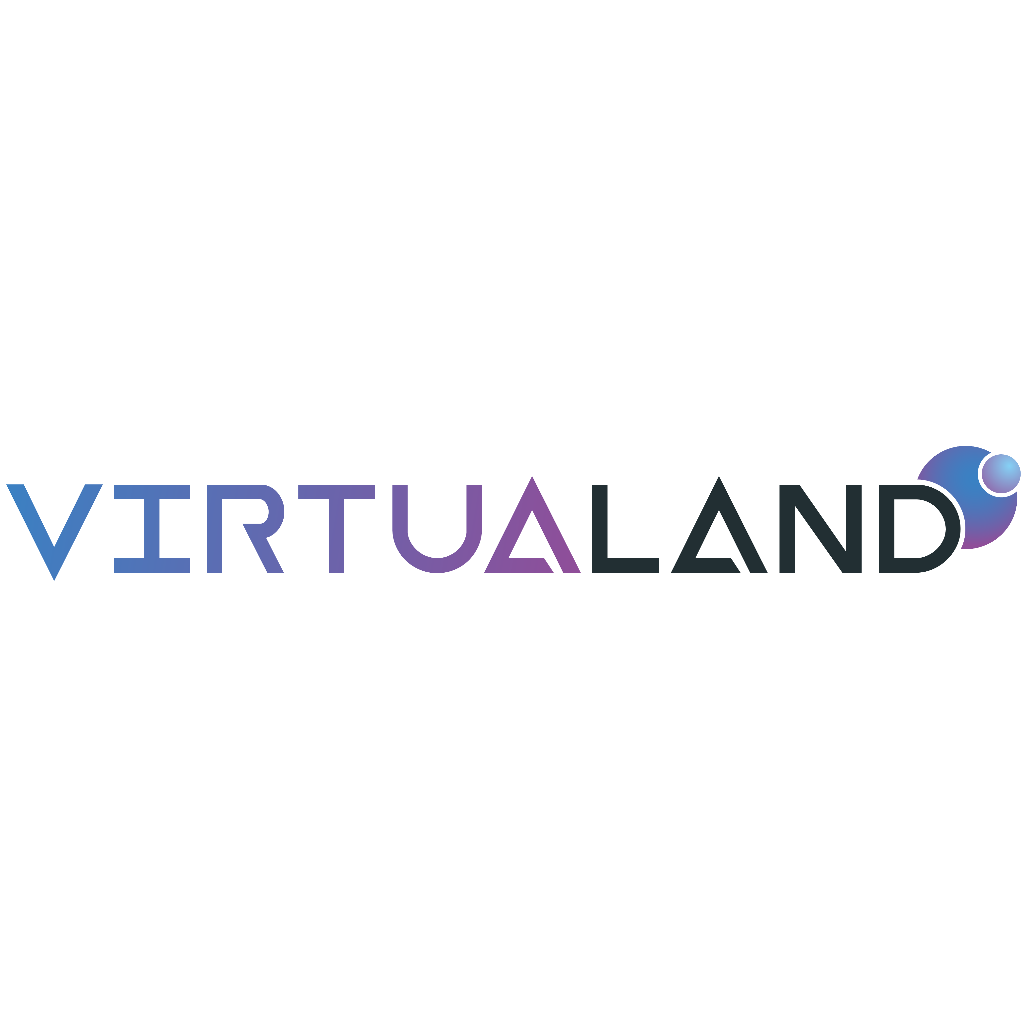 Professional Services 12 Virtualand Logo